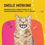 Polvere per l’igiene dentale per cani e gatti, 140 g – Excellent Pets Dental Oral Care - immagine 5