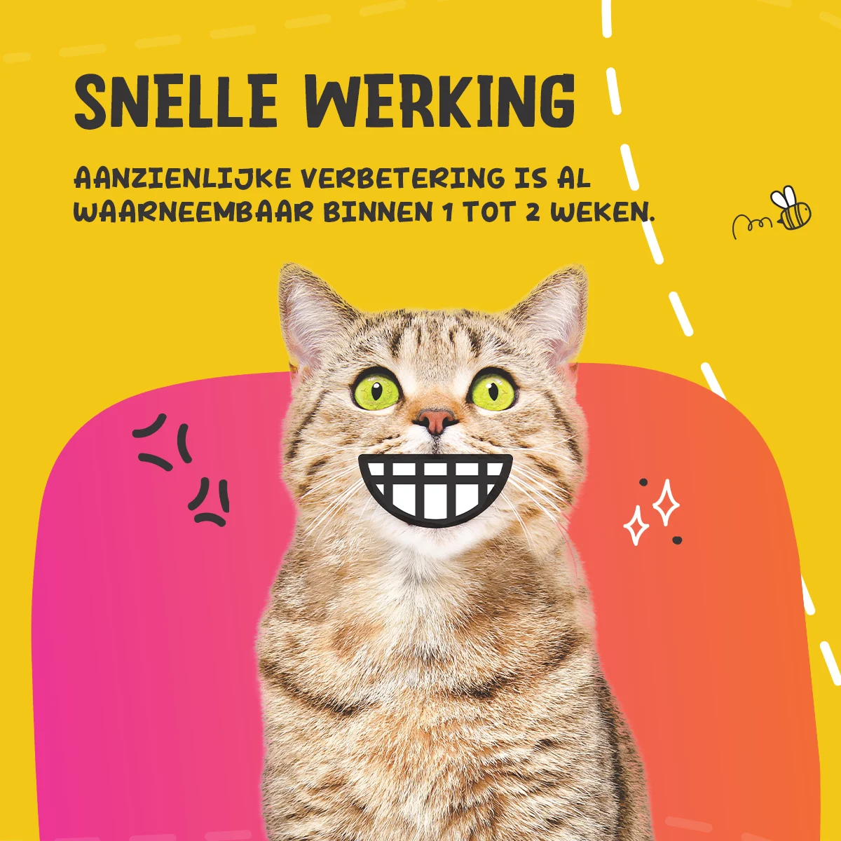 Polvere per la cura dei denti per cani e gatti, 60 g – Excellent Pets Dental Oral Care - immagine 5