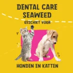 Integratore per l’igiene dentale per cani e gatti, 150 g – Excellent Pets Dental Care Seaweed - immagine 2