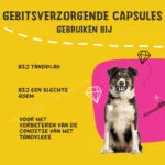Capsule per l’igiene orale dei cani, 90 pezzi – Excellent Pets Dental Oral Care Capsules - immagine 4