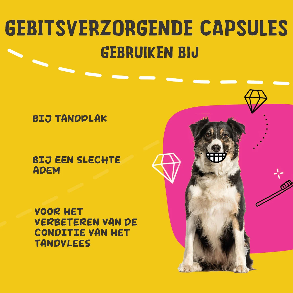 Capsule per l’igiene orale dei cani, 90 pezzi – Excellent Pets Dental Oral Care Capsules - immagine 4