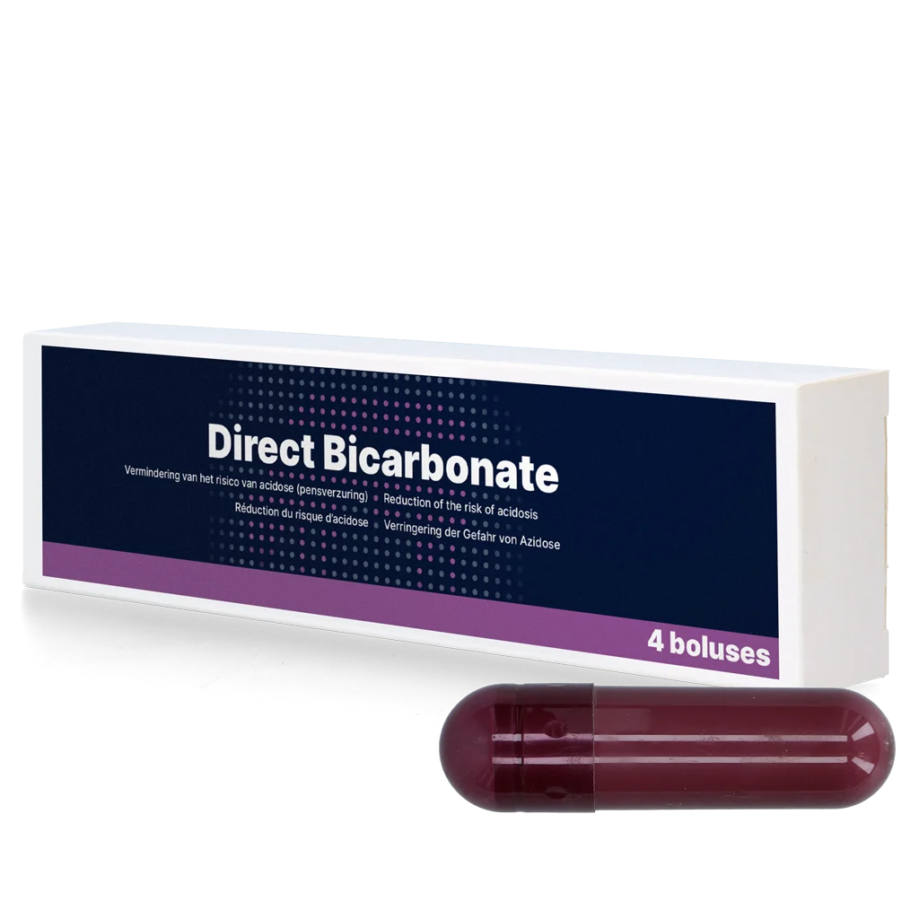 Bolo di bicarbonato per vacche da latte, 4 x 116 g – Direct Bolus Bicarbonate - immagine 1