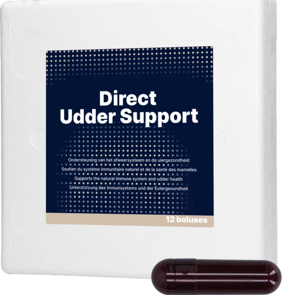 Bolo per vacche da latte con aglio nero, 12 x 60 g – Direct Bolus Udder Support