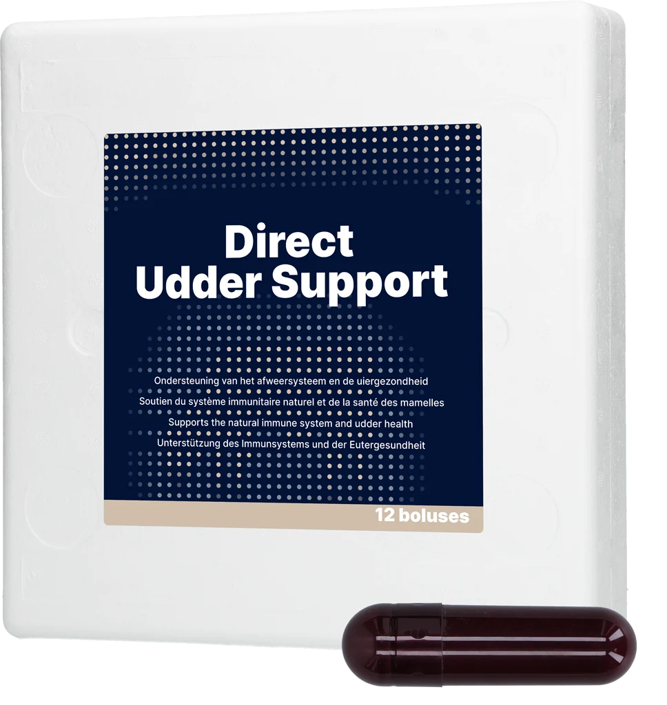 Bolo per vacche da latte con aglio nero, 12 x 60 g – Direct Bolus Udder Support - immagine 1