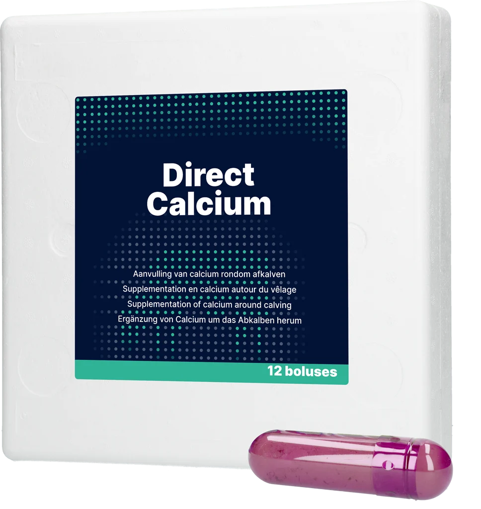 Bolo di calcio per vacche da latte, 12 x 94 g – Direct Bolus Calcium - immagine 1