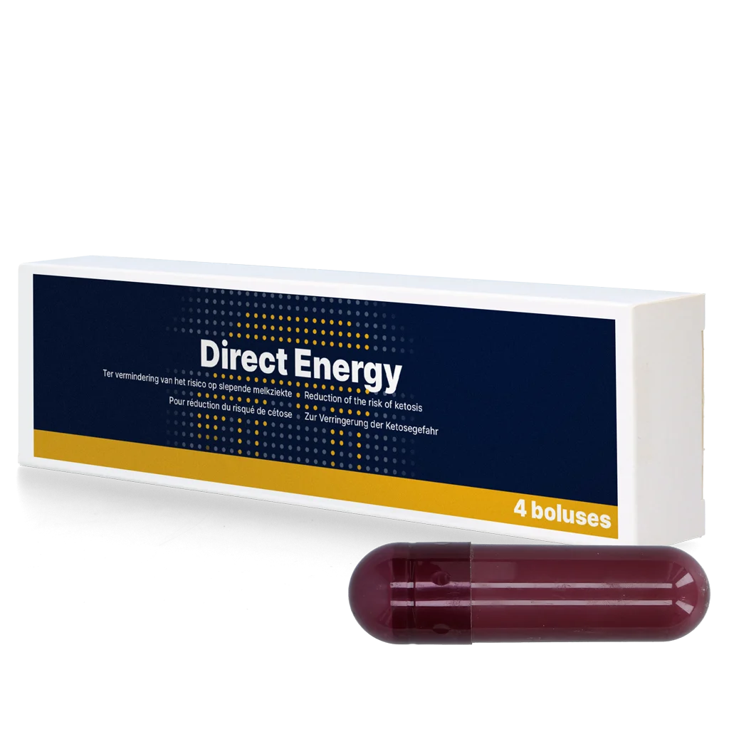 Bolo energetico per vacche da latte con vitamine e minerali, 4 x 67 g – Direct Bolus Energy - immagine 1