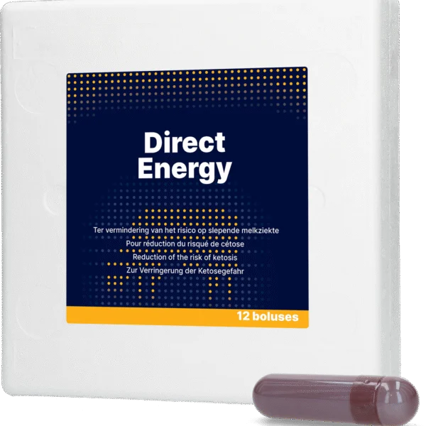 Bolo energetico per vacche da latte con vitamine e minerali, 12 x 67 g – Direct Bolus Energy