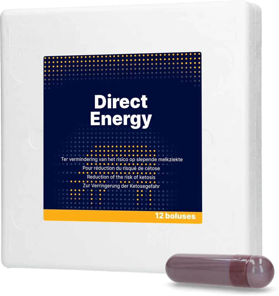 Bolo energetico per vacche da latte con vitamine e minerali, 12 x 67 g – Direct Bolus Energy - immagine 1