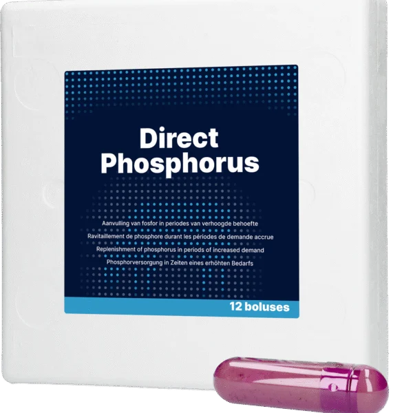 Bolo di fosforo per vacche, 12 x 123 g – Direct Bolus Phosphorus