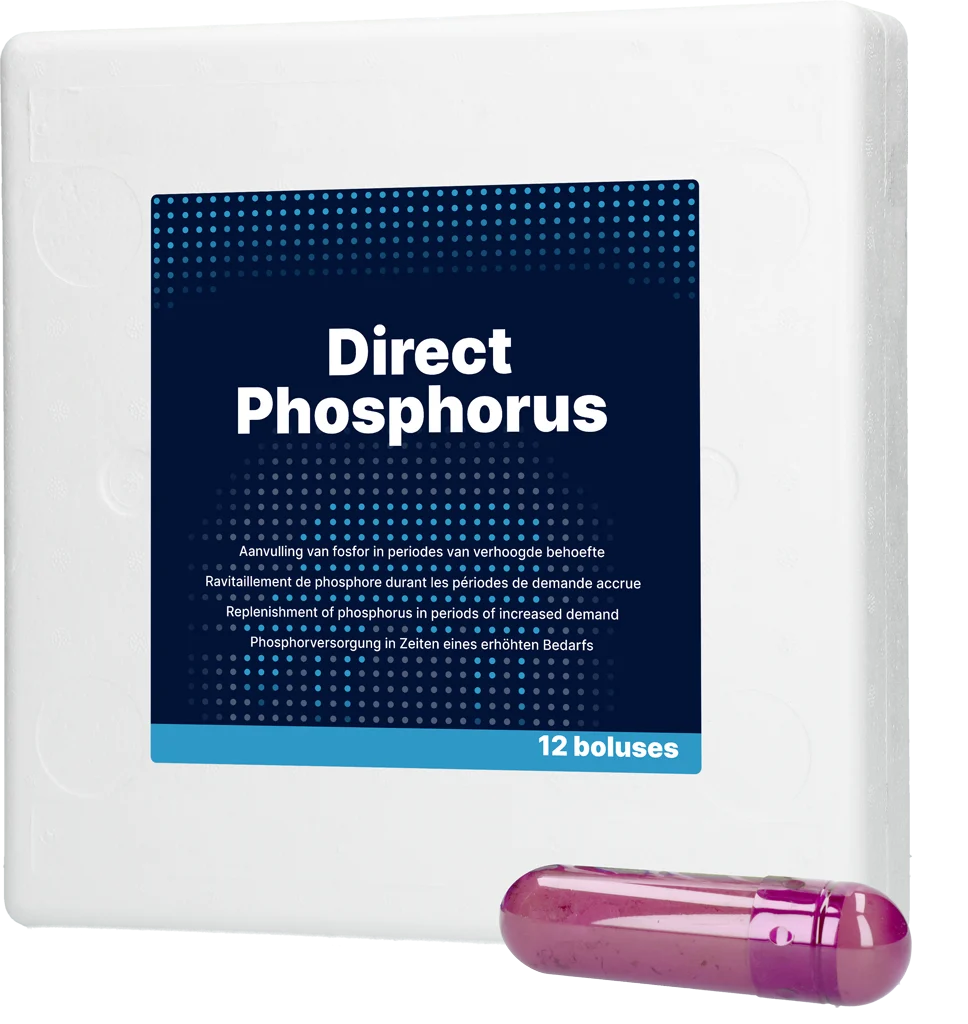 Bolo di fosforo per vacche, 12 x 123 g – Direct Bolus Phosphorus - immagine 1