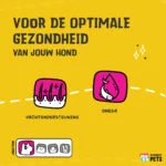 Olio di salmone per cani con Omega 3 e 6, 250 ml – Excellent Pets Dog Salmon Oil - immagine 3