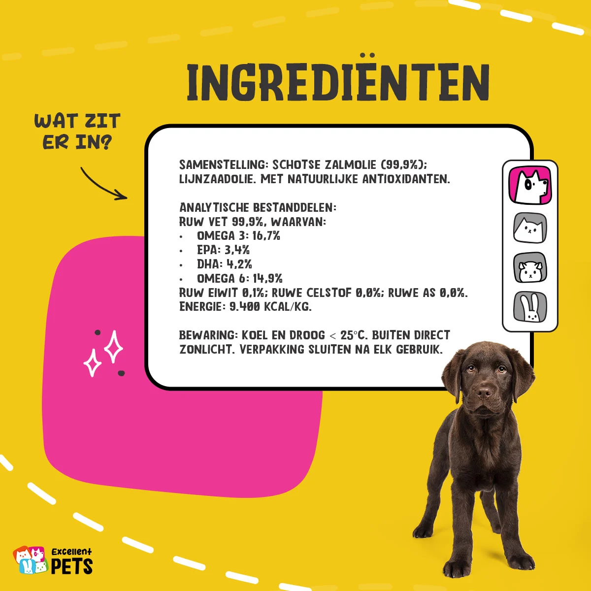 Olio di salmone per cani con Omega 3 e 6, 250 ml – Excellent Pets Dog Salmon Oil - immagine 5