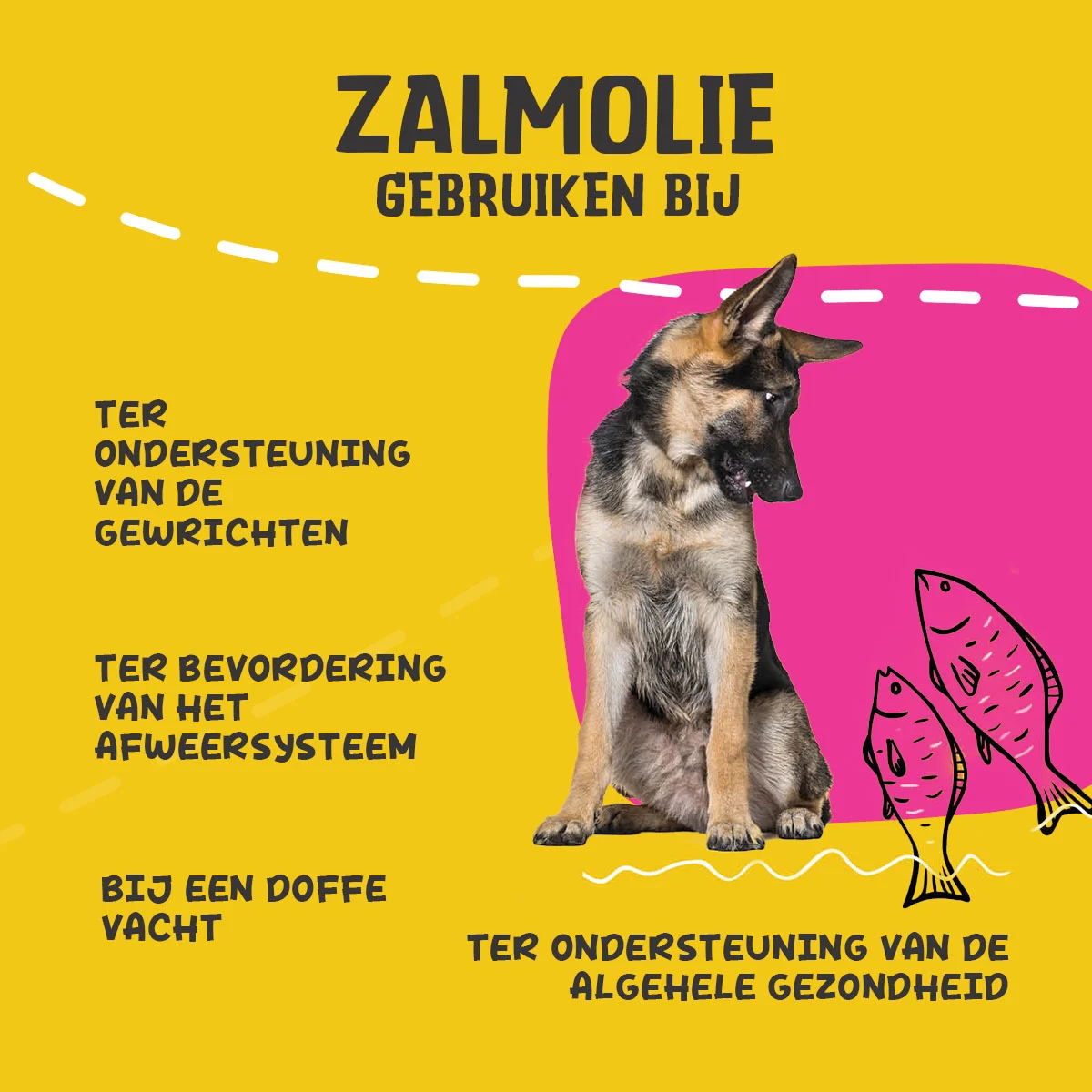 Olio di salmone per cani con Omega 3 e 6, 1000 ml – Excellent Pets Dog Salmon Oil - immagine 6