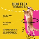 Integratore per le articolazioni dei cani, liquido, 250 ml – Excellent Pets Dog Flex - immagine 6