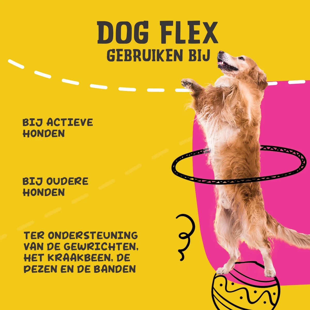 Integratore liquido per le articolazioni dei cani, 500 ml – Excellent Pets Dog Flex - immagine 6