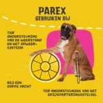 Integratore per cani con prebiotici in crocchette, 270 g – Excellent Pets Dog Parex - immagine 6