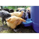 Ciotola per abbeverare le galline in plastica 0,5 l
