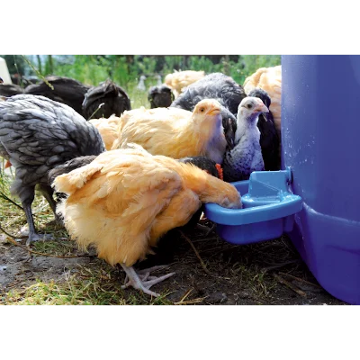Ciotola per abbeverare le galline in plastica 0,5 l - immagine 1