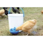 Ciotola per abbeverare le galline in plastica 0,5 l - immagine 2