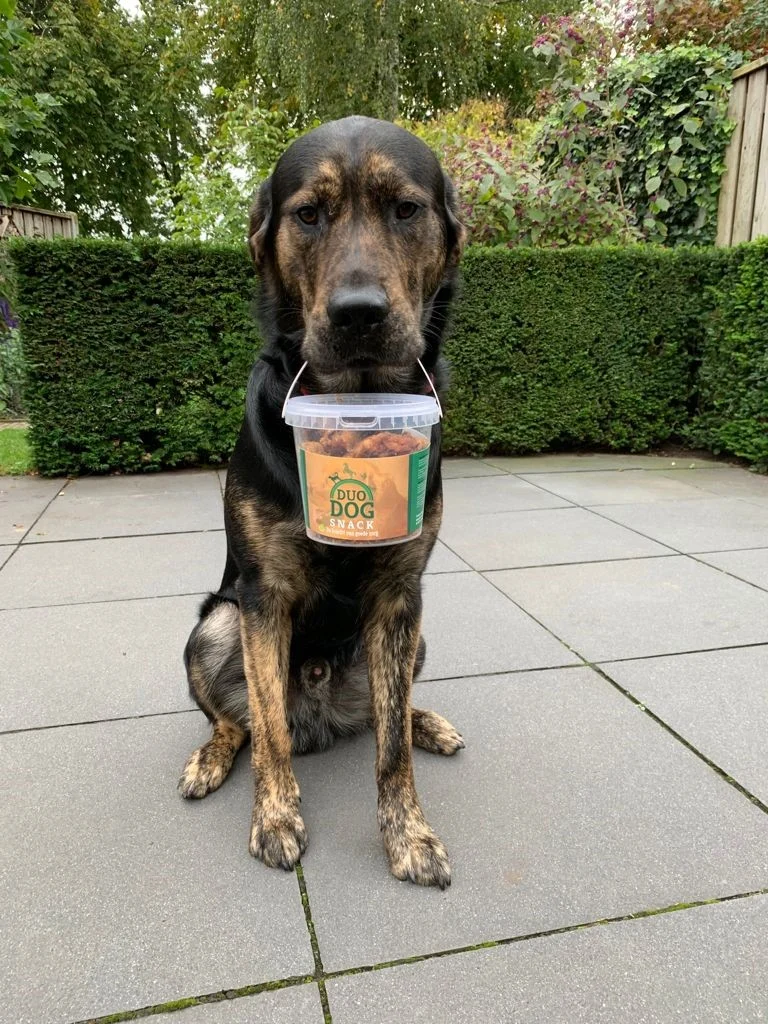 Snack per cani a base di 100% grasso di cavallo fuso, circa 350 g – Duo Dog Snack - immagine 2