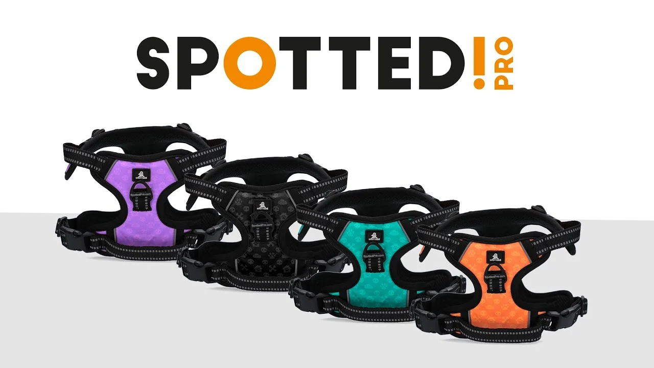 Pettorina anti tiro per cani con maniglia, grigio scuro XL – Spotted! Pro No Pull - immagine 2