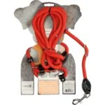 Pettorina per cani con guinzaglio in corda, rosso, Regular 345 cm – modello Easy Walk a spalla - immagine 2