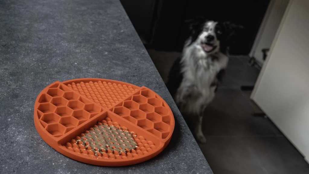 Tappetino rotondo da leccare con alveoli profondi, rosso, ø 21 cm – Eat Slow Live Longer Lick Mat Dimensions Circle - immagine 6