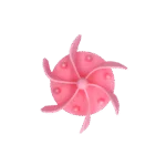 Inserto anti ingozzamento per ciotola per cani con ventose, rosa L, diametro della base 14,5 cm – Eat Slow Live Longer Gobble Stopper - immagine 2