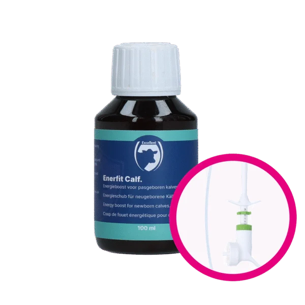 Integratore energetico per vitelli e suinetti appena nati 100 ml – Excellent Enerfit