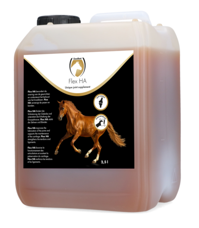 Integratore per le articolazioni dei cavalli con glucosamina e MSM, 2,5 l – Excellent Horse Flex HA