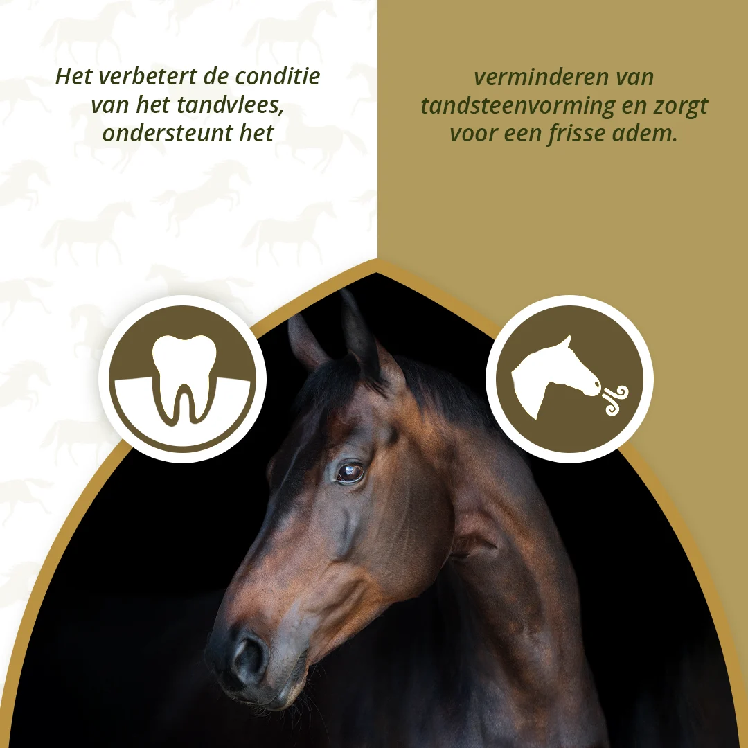 Integratore per l’igiene orale dei cavalli con verdure ed erbe essiccate, 1 kg – Excellent Horse Dental Care - immagine 3