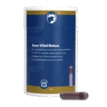 Bolo per vitelli per rassodare le feci, 24 x 10 g – Bolo Excellent Euro-Vital