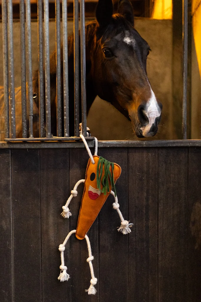 Gioco da stalla per cavalli in pelle con imbottitura in juta, carota, 40 x 16 x 5 cm – Excellent Horse Foodie Friends Carrot - immagine 3