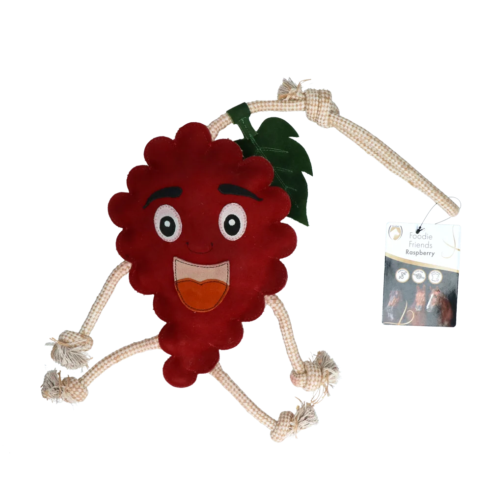 Gioco per cavalli a forma di lampone con imbottitura in juta, 29 x 20 x 5 cm – Excellent Horse Foodie Friends Raspberry - immagine 1