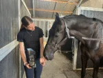 Biscotti per cavalli alla mela, 500 g – Excellent Horse biscotti artigianali per cavalli alla mela - immagine 4