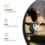 Palla porta mangime per cavalli con aperture, verde – Excellent Horse Feed & Play Ball - immagine 6