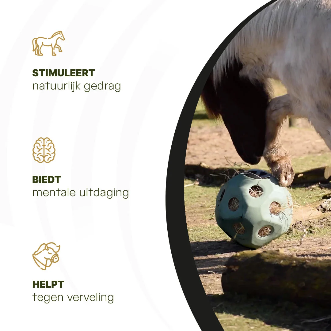 Palla porta mangime per cavalli con aperture, verde – Excellent Horse Feed & Play Ball - immagine 6