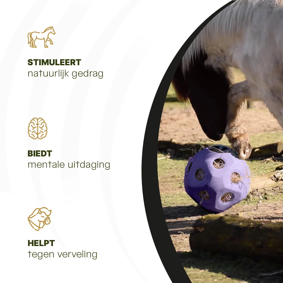 Palla per il cibo per cavalli con aperture, viola – Excellent Horse Feed & Play Ball - immagine 6