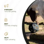 Palla per l’alimentazione dei cavalli con aperture per il mangime, nera – Excellent Horse Feed & Play Ball - immagine 6