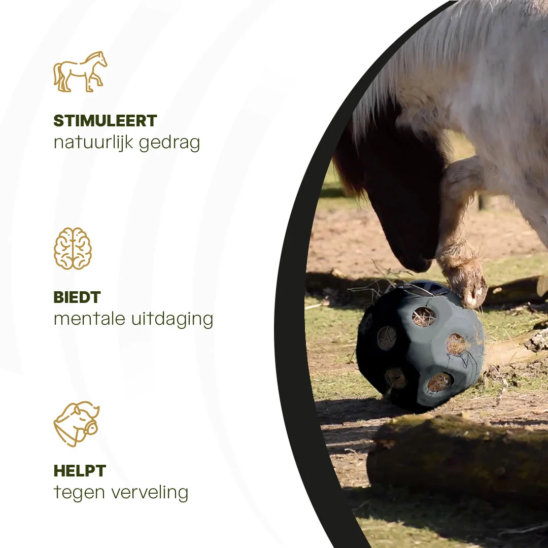 Palla per l’alimentazione dei cavalli con aperture per il mangime, nera – Excellent Horse Feed & Play Ball - immagine 6