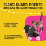 Integratore in polvere per cani e gatti con prebiotici e probiotici – Excellent Pets Gland Guard Powder - immagine 3