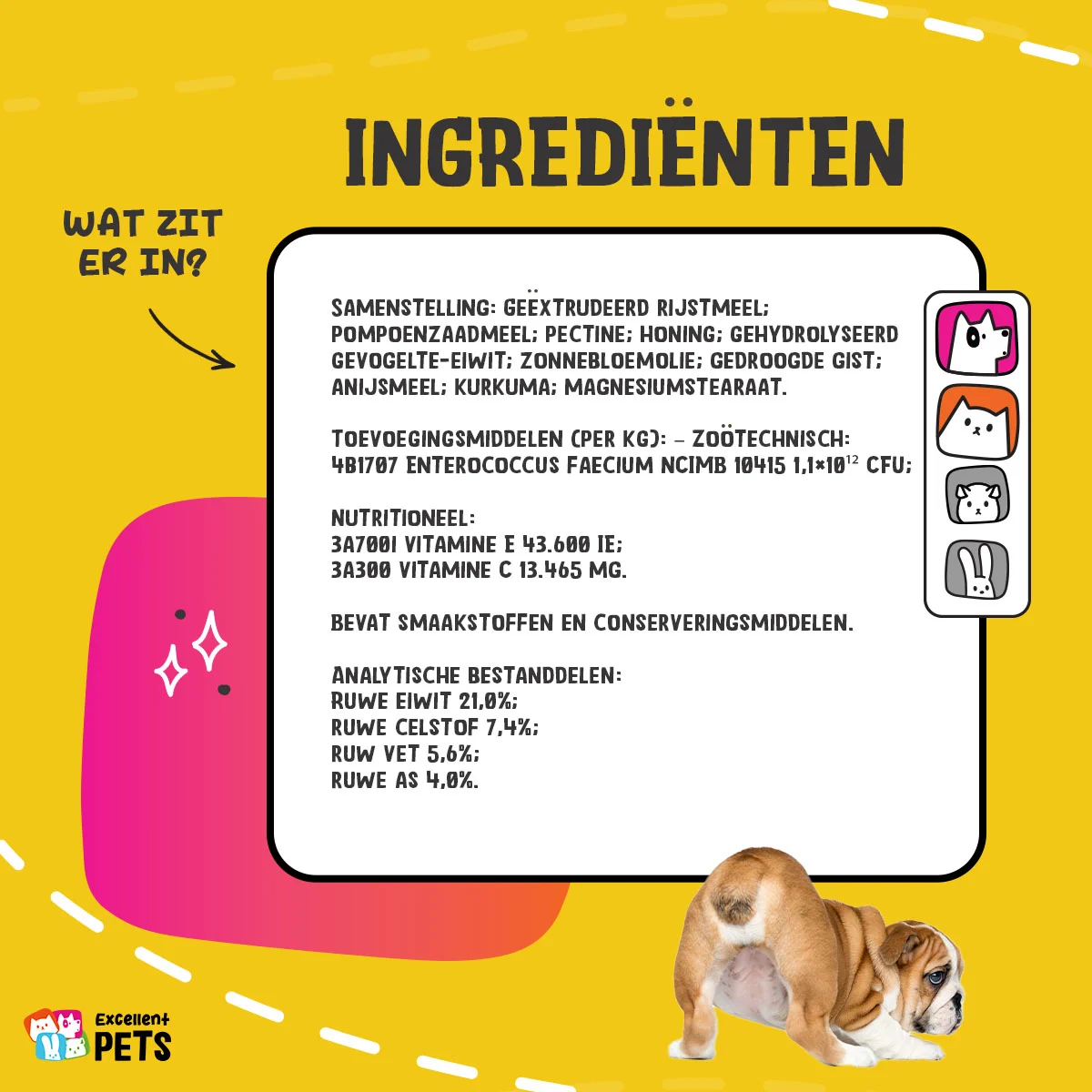 Integratore in polvere per cani e gatti con prebiotici e probiotici – Excellent Pets Gland Guard Powder - immagine 5