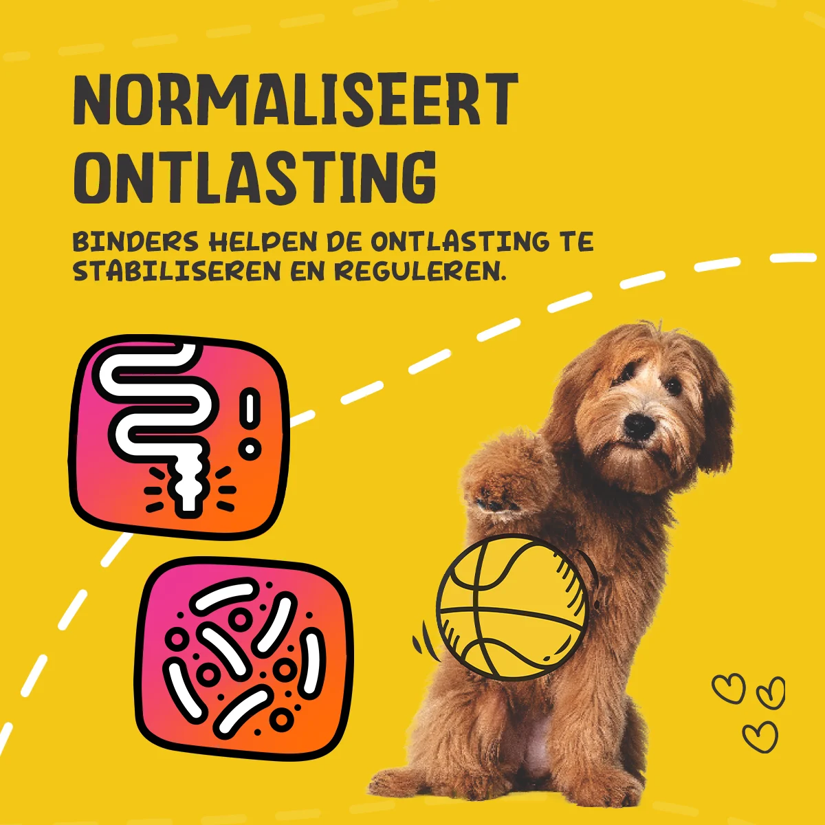 Pasta digestiva per animali domestici con elettroliti, 30 ml – Excellent Pets Digestive Support - immagine 6
