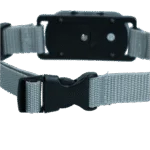 Collare antiabbaio con suono e vibrazione – Excellent Pets Bark-Stop Collar - immagine 4