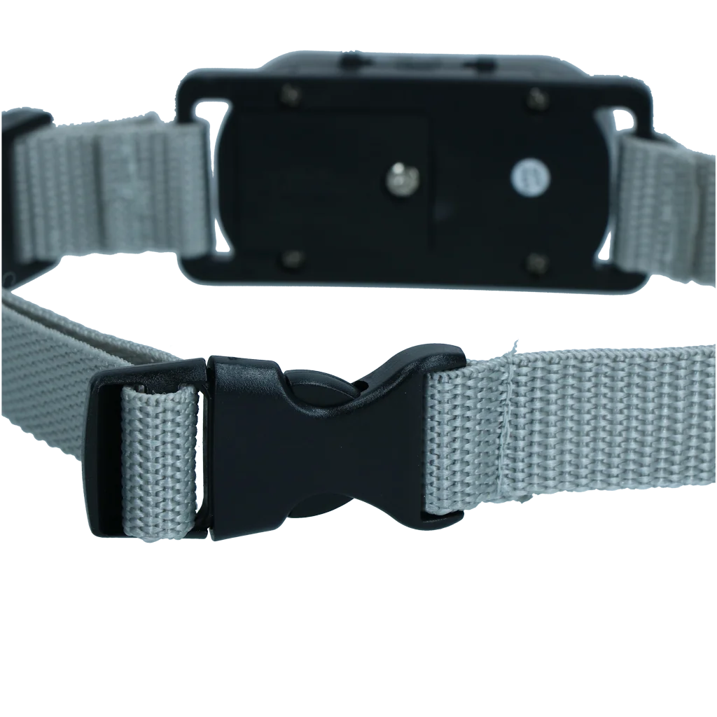 Collare antiabbaio con suono e vibrazione – Excellent Pets Bark-Stop Collar - immagine 4