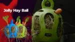Palla porta fieno per cavalli in gomma flessibile, verde, 20 cm – Jolly Pets Jolly Hay Ball - immagine 3