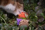 Topolino gioco per gatti in pigna e feltro con Madnip, arancione, 8 cm – Forest Friends Mouse - immagine 3
