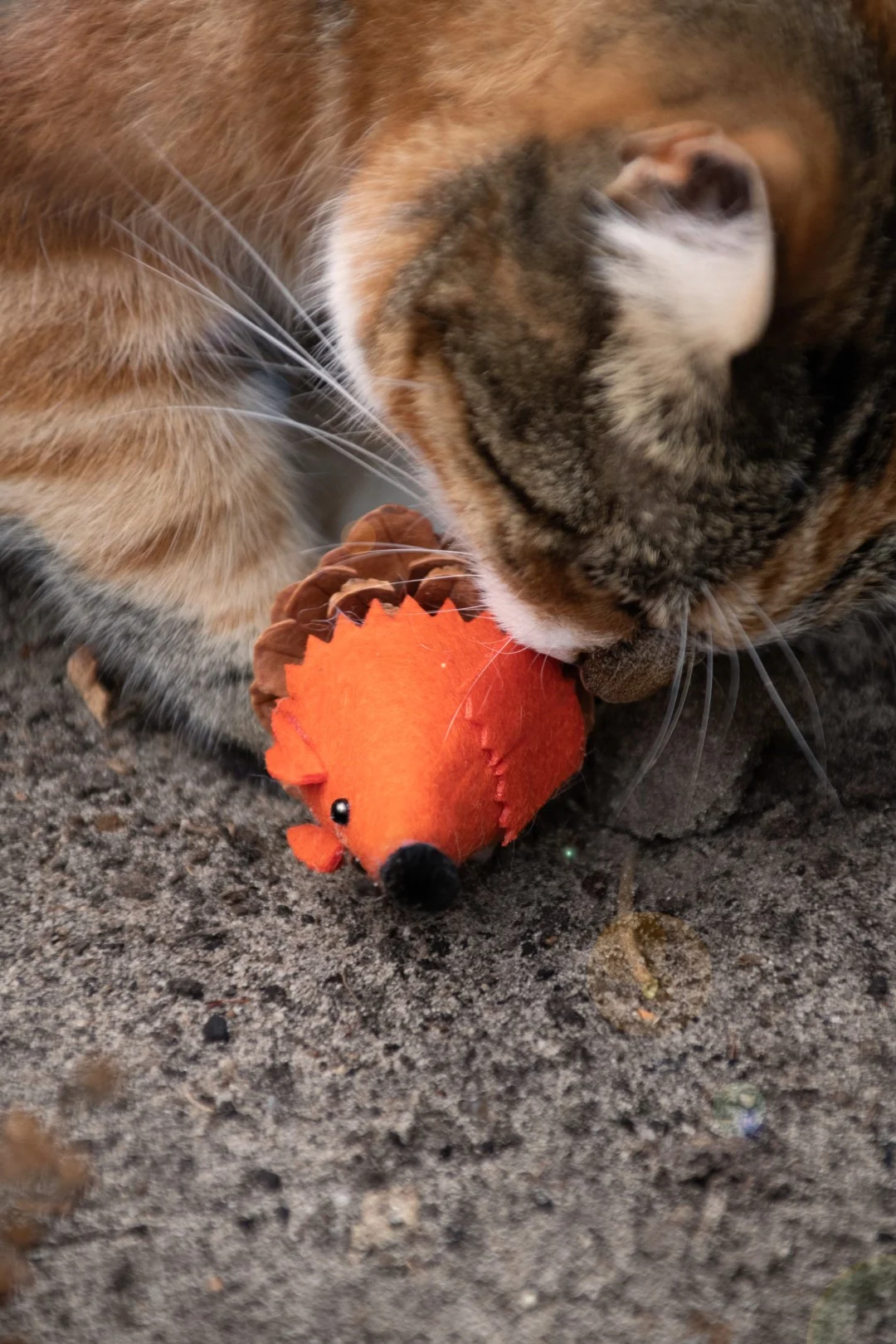 Topolino gioco per gatti in pigna e feltro con Madnip, arancione, 8 cm – Forest Friends Mouse - immagine 4