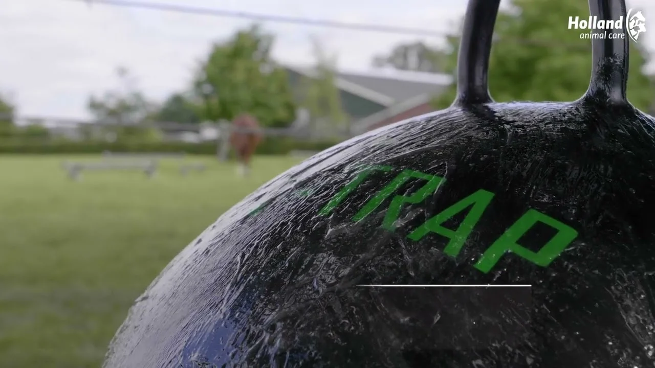 Palla antitafani da appendere, nera, 60 cm – Sticky Trap Bal - immagine 2