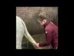 Gel districante per criniera e coda dei cavalli, 100 ml – Lucky Horse Unicorn Magic Gel - immagine 2